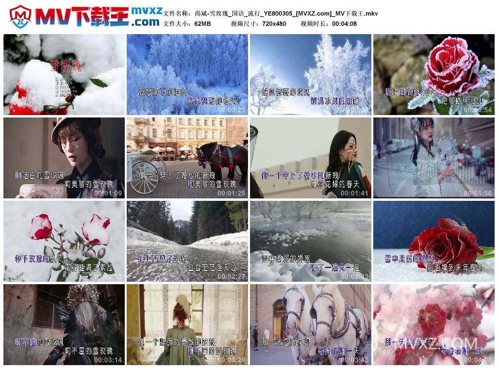 尚斌-雪玫瑰_国语_流行_YE800305